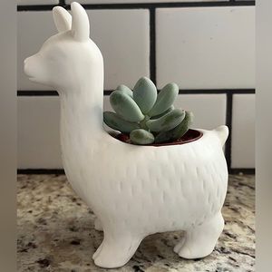 Lloyd the llama planter